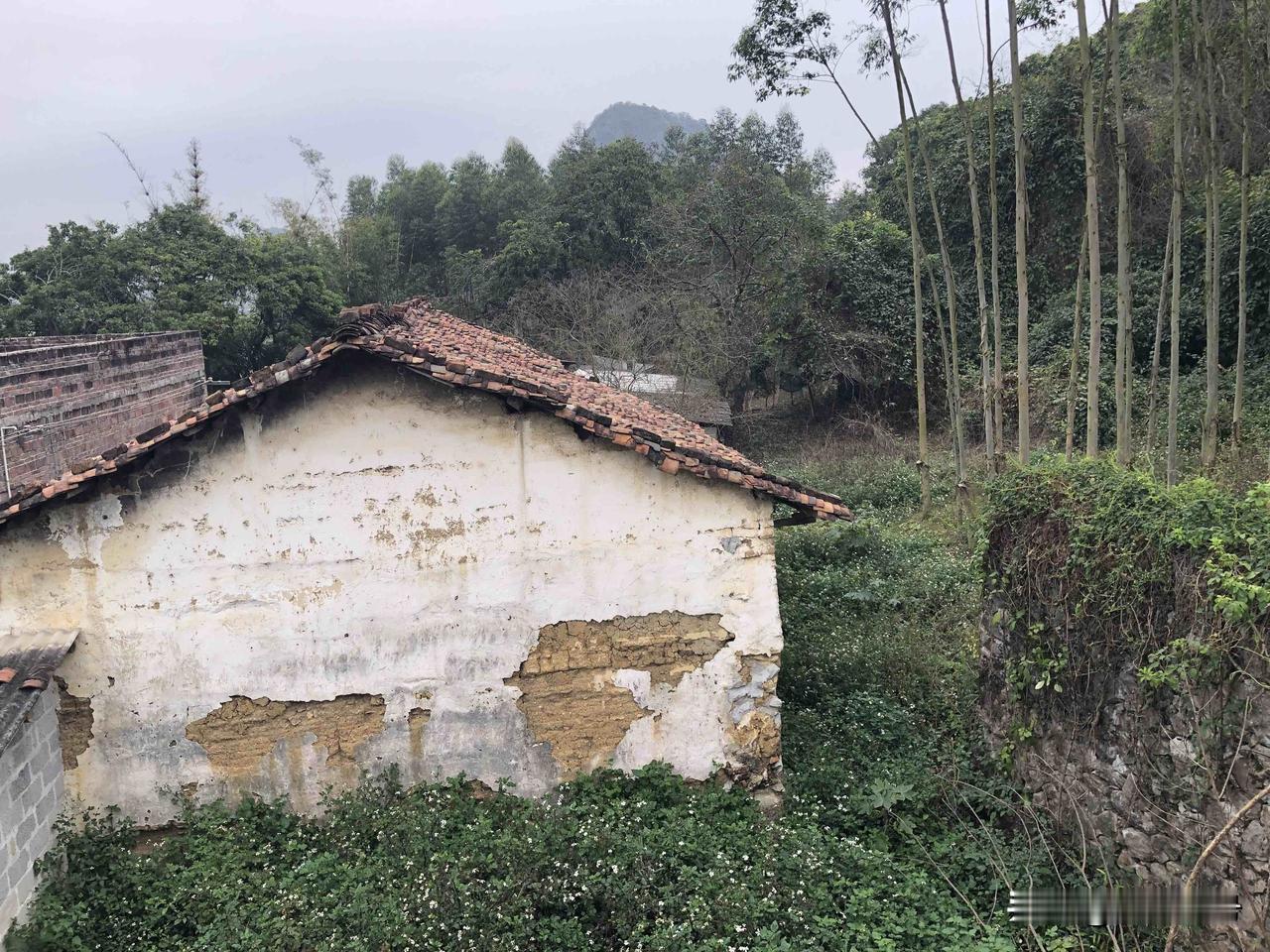 在中国，有一种叫根，逢年过节必然奔向的地方，房子再烂，只要父母在，就是心之所系，