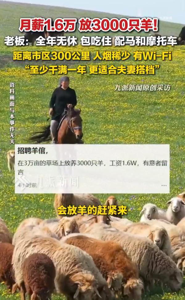 万万没想到，现在放羊都卷出高薪了！

内蒙古牧区开出1万6月薪，管吃管住还有Wi