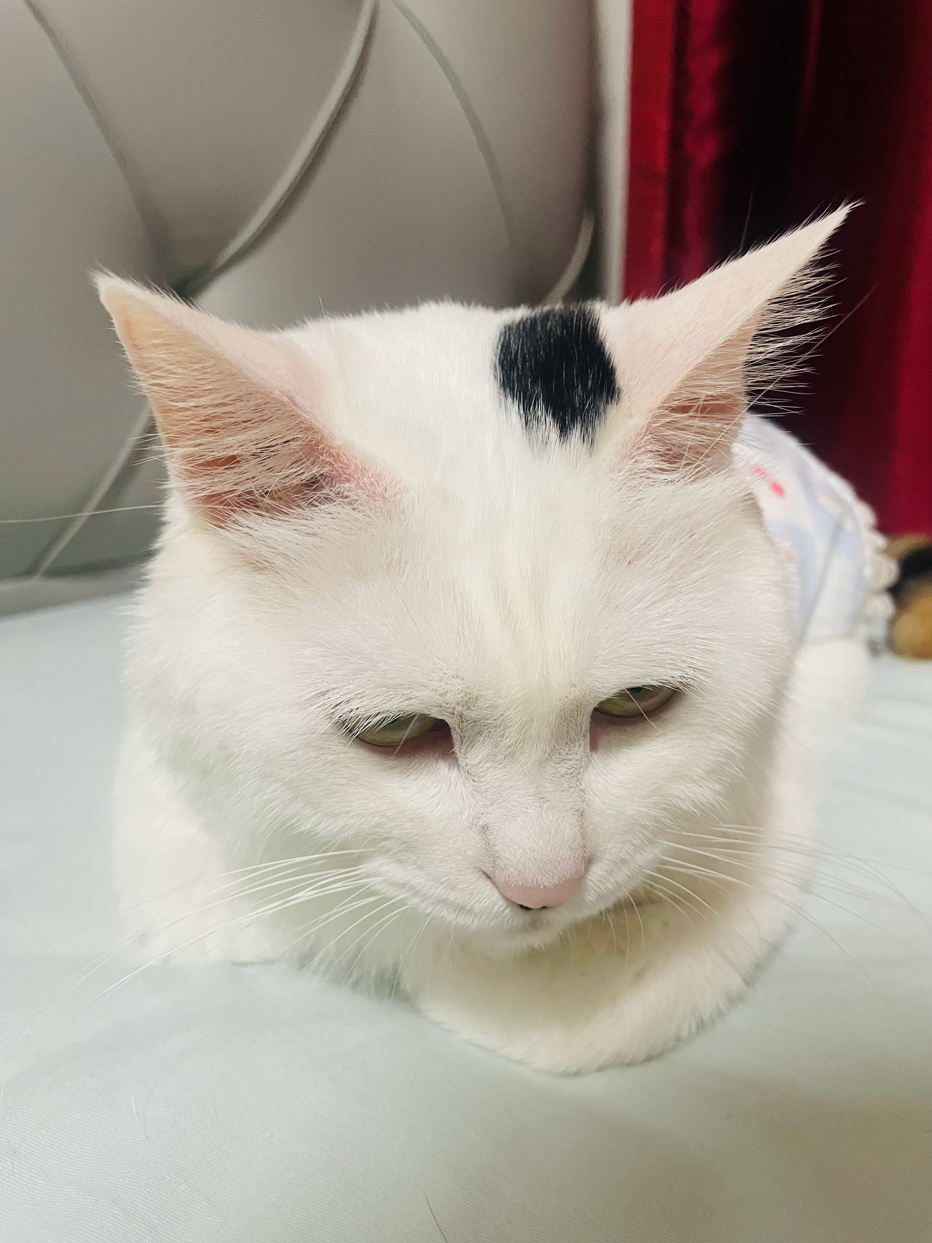 从违缘转变成增上缘，这需要深厚的德行和智慧，及很长的时间。 ​​​