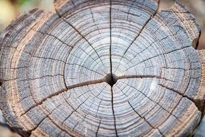 上联：不叹岁月催人老
下联：但惜时光逐水流