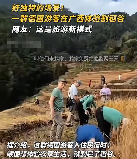 10月29日，广西桂林一旅行团中一群来自德国的游客在导游的支持下，体验了一把中国