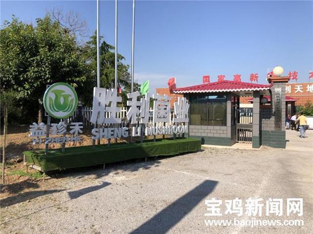 宝鸡农业产业化方面的又一个重要跨越，食用菌年产量超过8000万公斤。

宝鸡食用