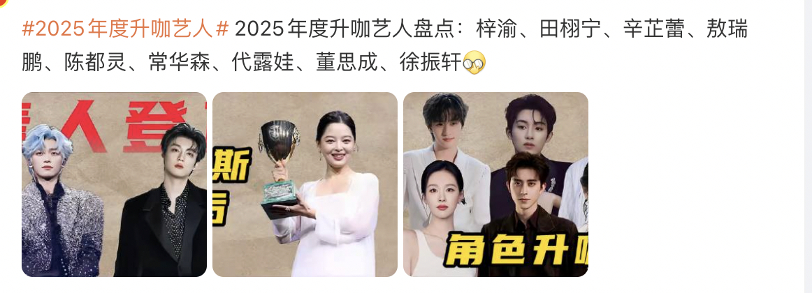 2025年度升咖艺人  这么看的话，只有辛芷蕾是真升咖了。 