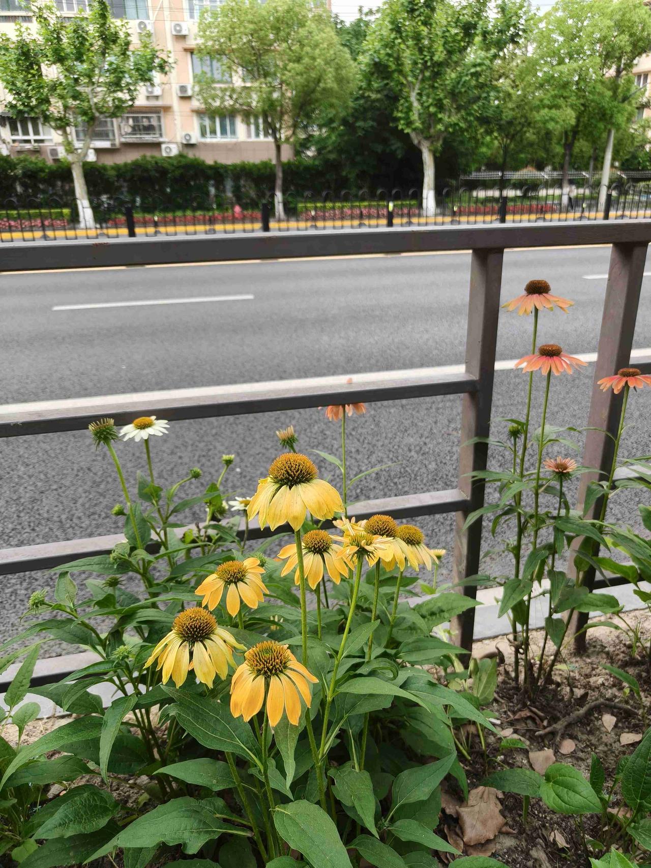 我的今日状态：😁轻松愉快
我这里的天气：☀️晴天