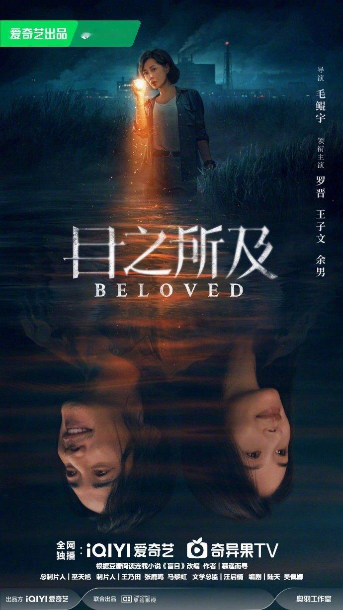 #电视剧目之所及官宣#《目之所及》终于有点动静了，几版海报故事感都🈶！手持手电