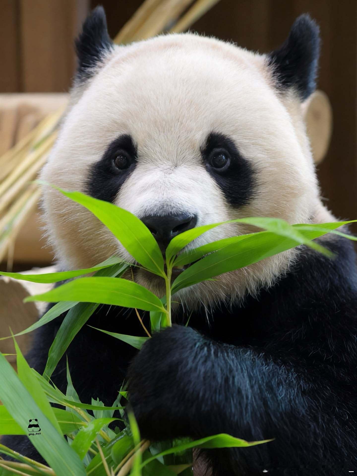 每天早起打卡早安～ 