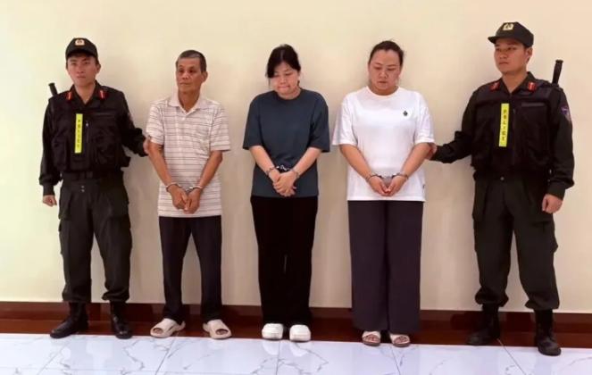 一家三口齐上阵，把中国产的电力设备换成加拿大身份，骗了越南电力系统整整三年，吃下