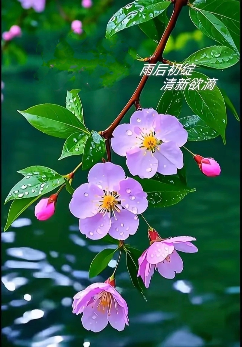 【稳住自己，就是对孩子最好的托举】🌑 稳住生活，让日子不慌不忙　　一个家庭最好