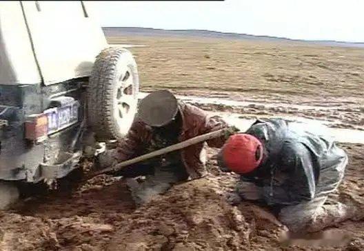 《生命树》里胡歌饰演的多杰队长，原型故事真的太戳心。为守护可可西里的净土、守护藏