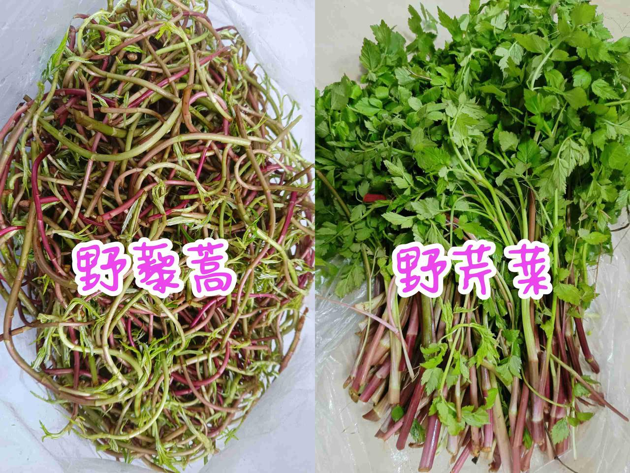 看了黄历，今天适合打野。
带定位晒今日生活
我的今日状态：😁轻松愉快
我这里的