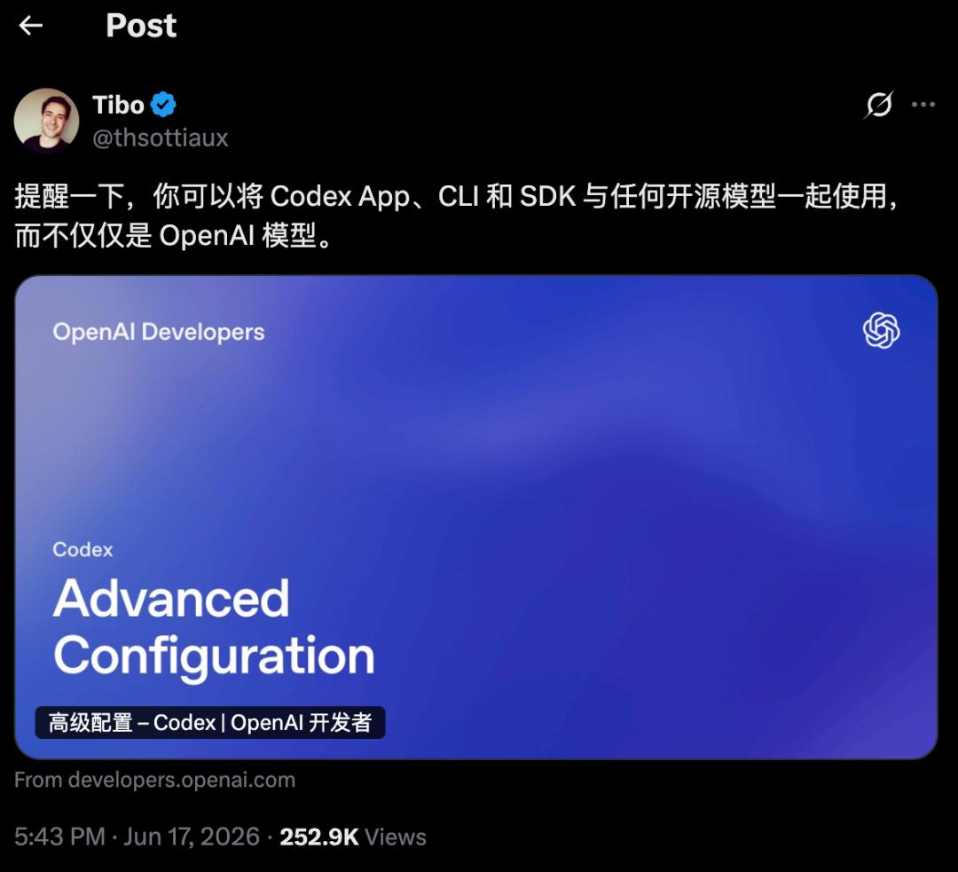 Codex原生支持其他模型

OpenAI Codex CLI 作为当前高效的编