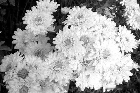 我没有释怀，
只是把难过压在了心底!
满脑子都是不舍和遗憾…
永久别离，
思念过