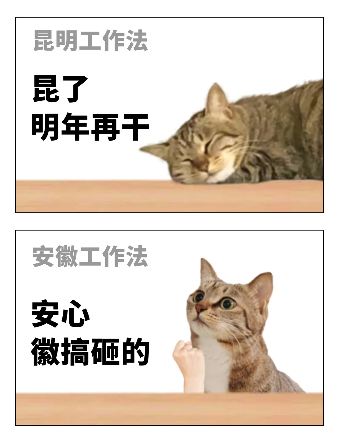 各省请查收| 过年前的工作方法表情包