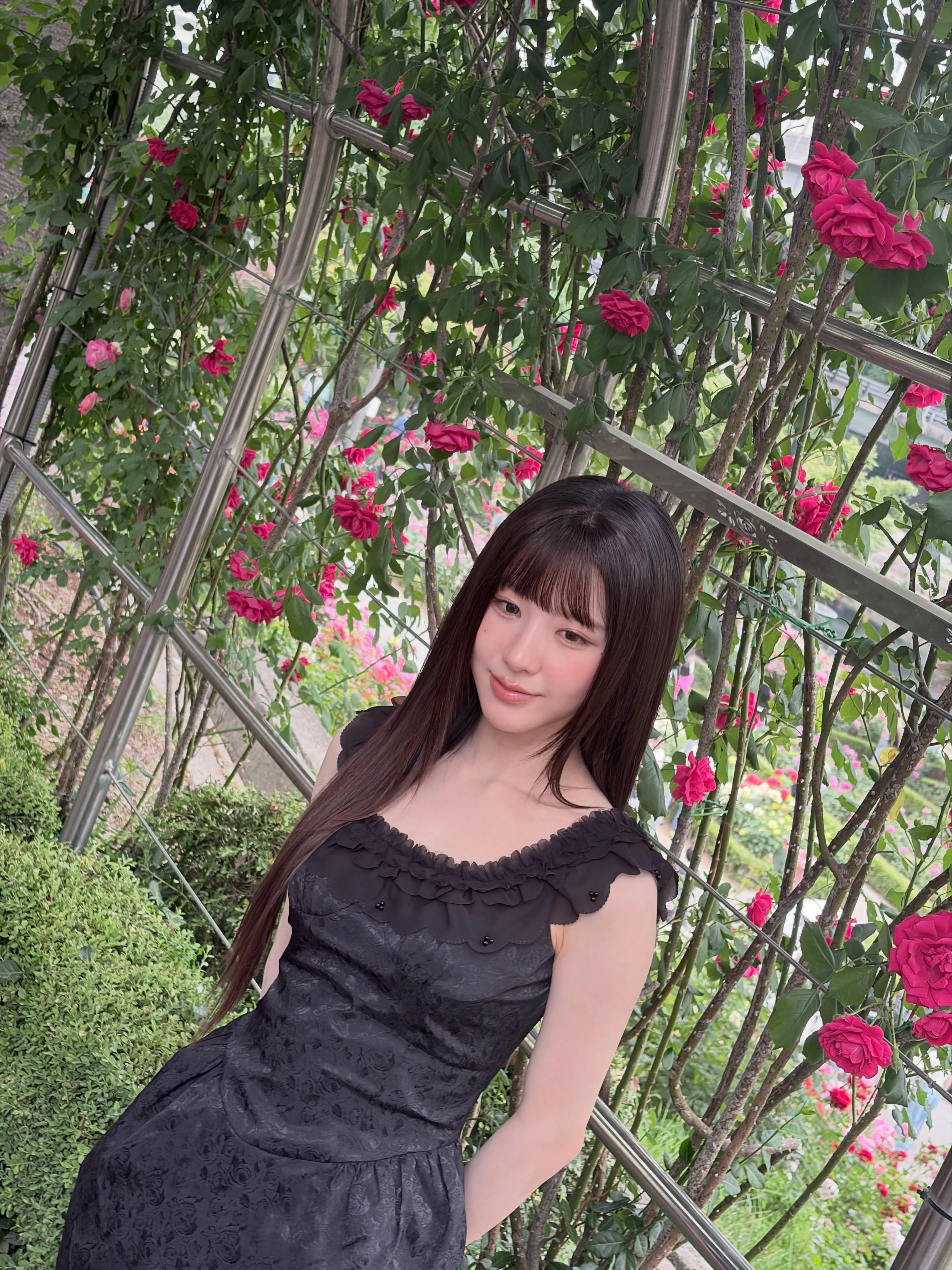田姬振🌹