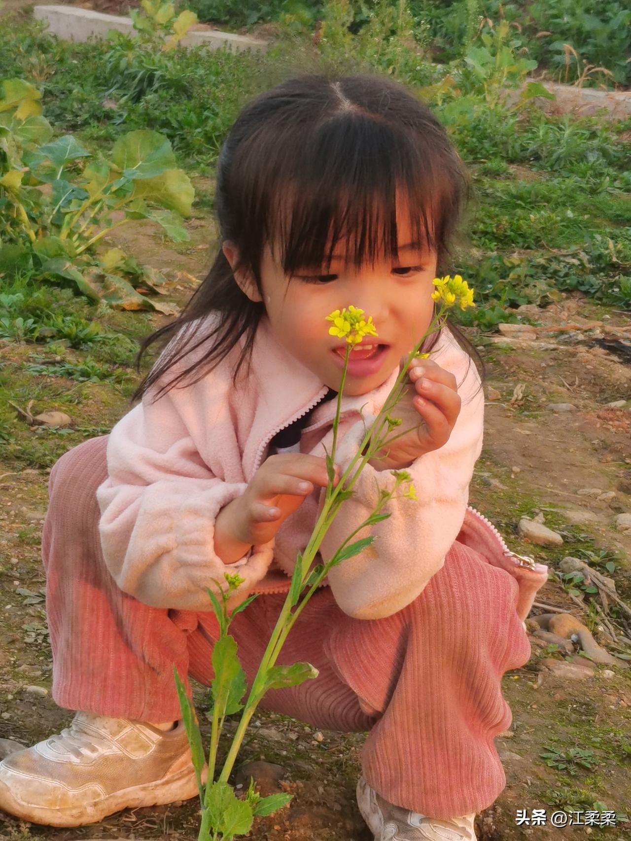 昨天刚下过一场春雨，傍晚就放晴了。
空气里都是清清爽爽的味道，牵着女儿的小手出门