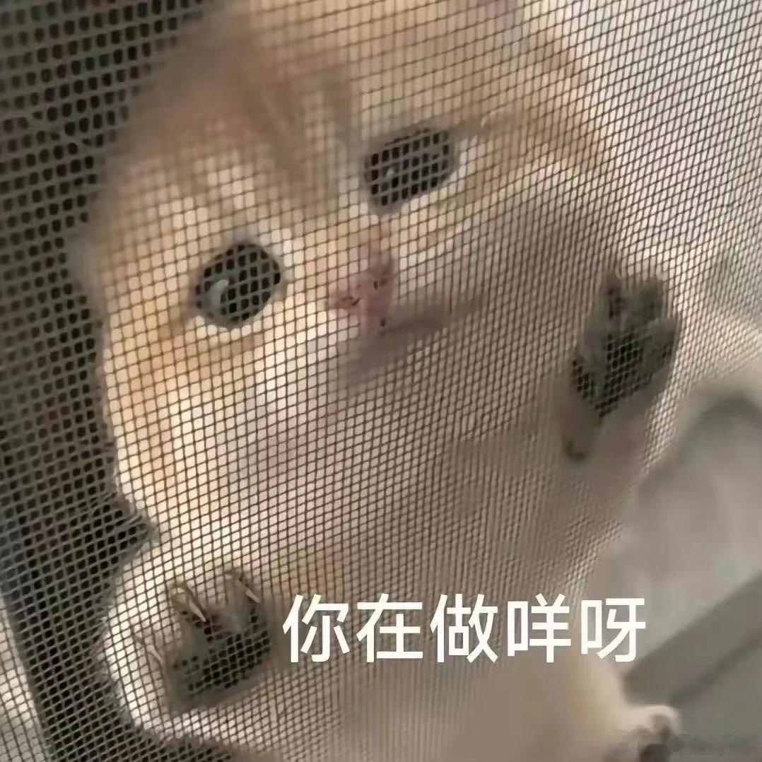 #女子与网友互换特产收到金戒指#  真的是会让人超级惊喜呢，没想到这个女子与网友