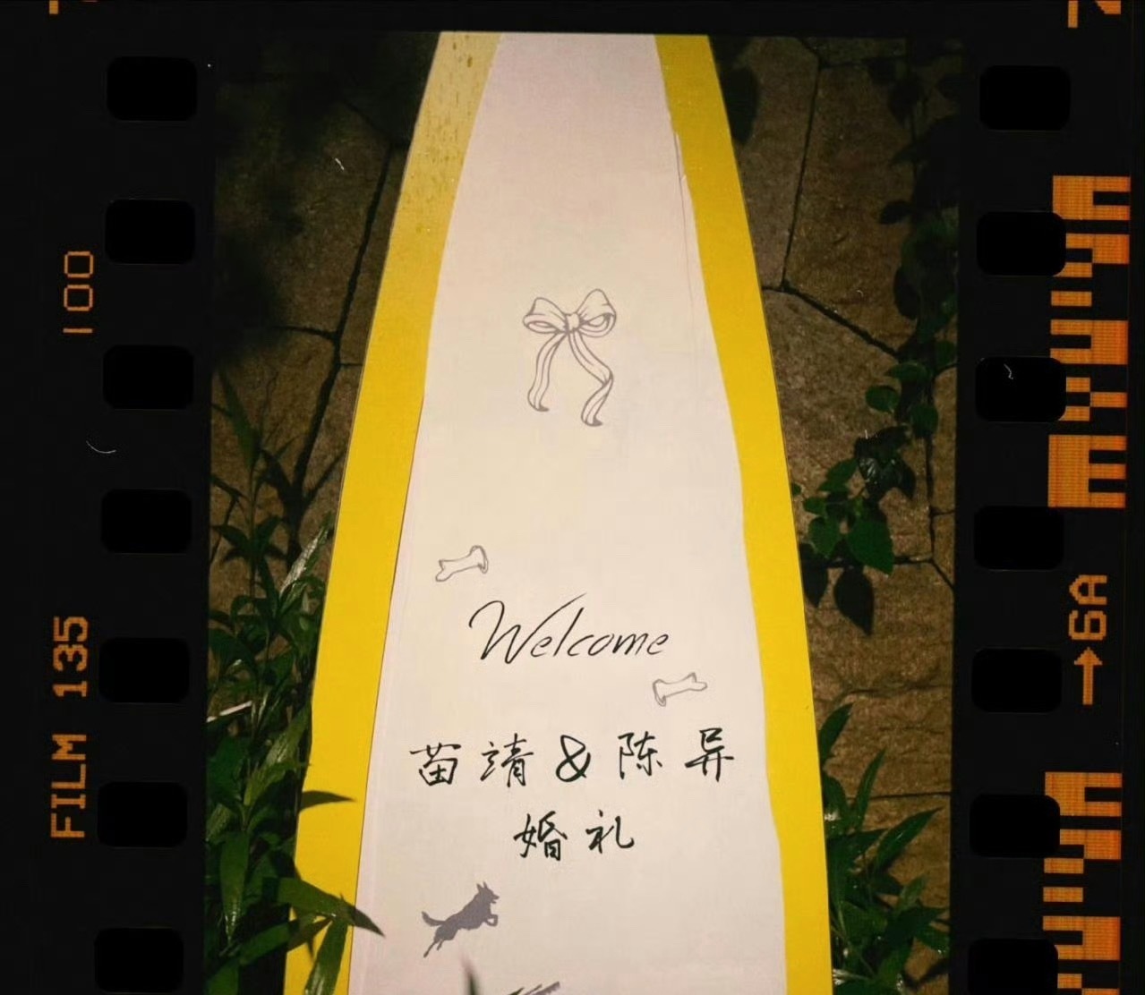 所有人起立…..我们《野狗骨头》明天要补拍婚礼番外啊啊啊啊啊啊啊野狗骨头补拍婚礼