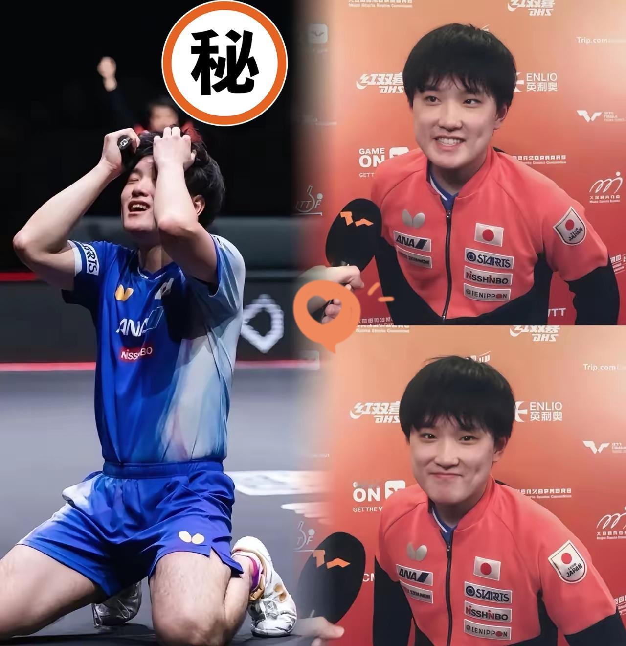 道歉有用的话，还要底线干嘛？张本智和低头认错求原谅，可中国赛事名单早把他划掉，这