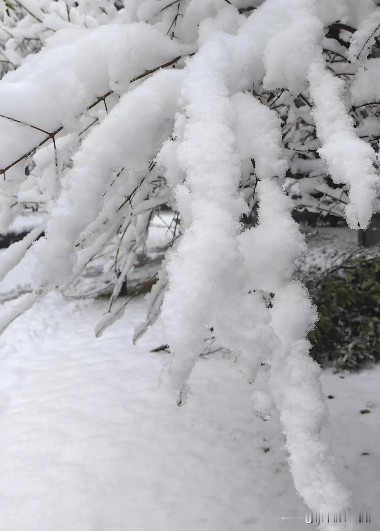 2025年的第一场雪。
——随拍于陕西铜川耀州区
分享一张你最近随手拍的照片吧每