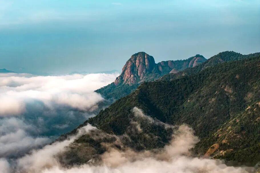 奇峰出云海，山在云雾间，邂逅山野仙境 