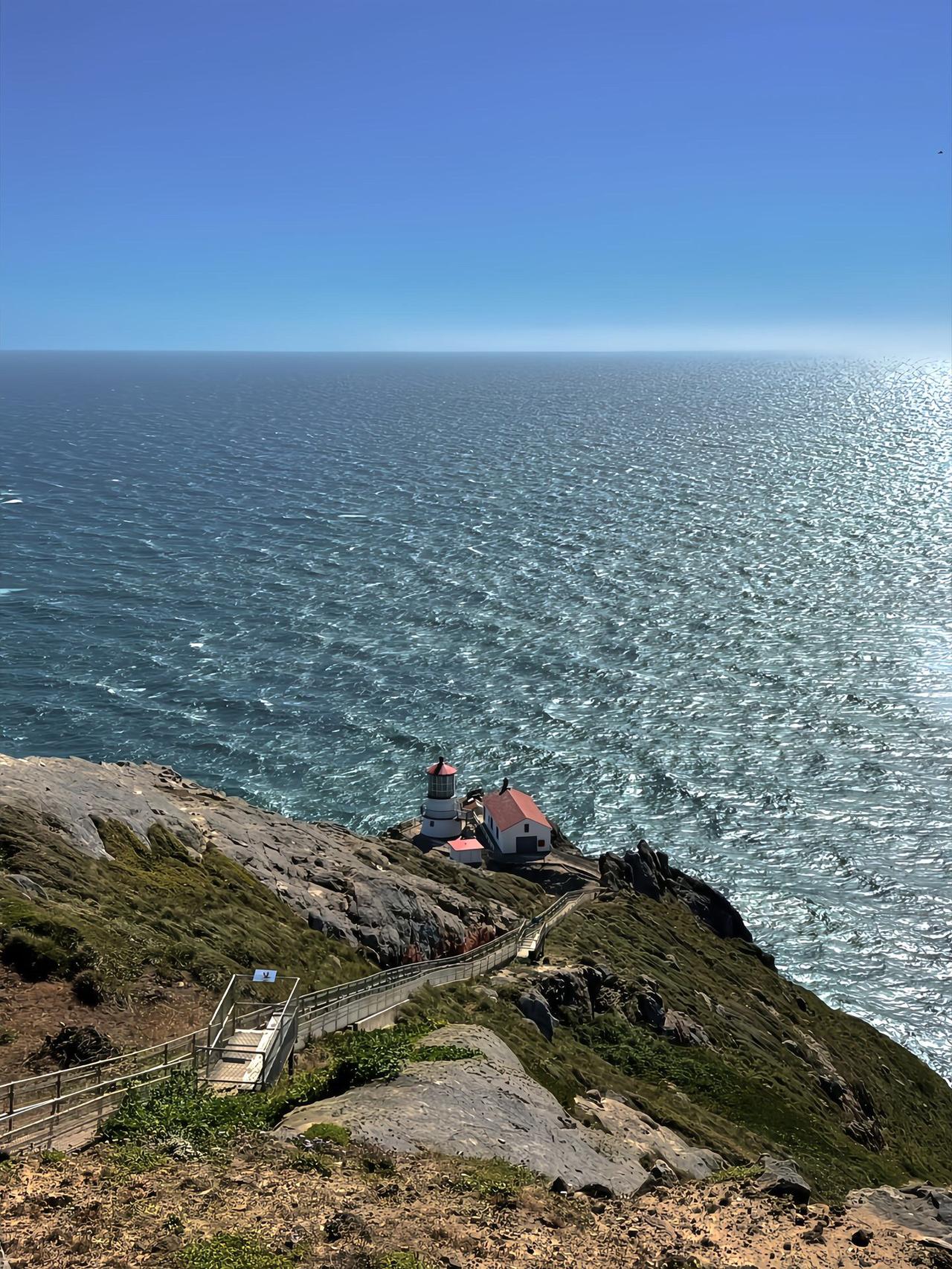 随变一拍都很夯