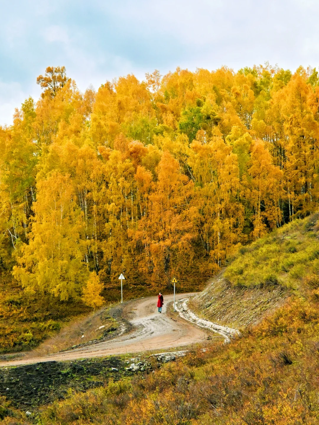当秋风佛过阿勒泰山🏔️是时候该出发了🛫