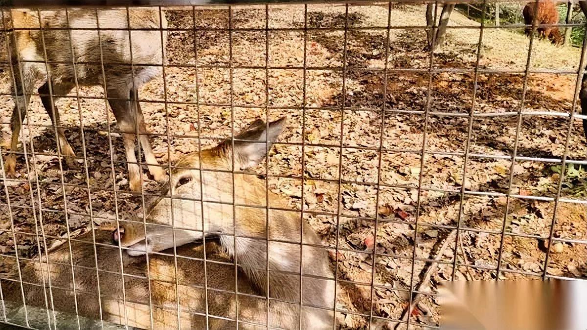 领工资头条后收益暴跌？

每天2分钱苟活头条号

想写点啥却脑壳空空，期中考试的