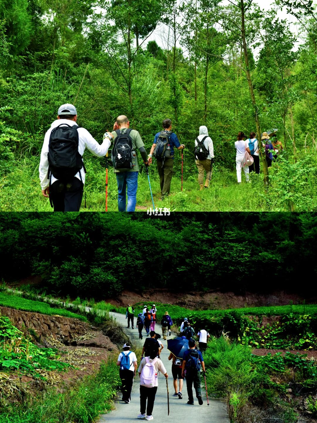 龙脊古道｜不输云华山！登顶眺望沱江