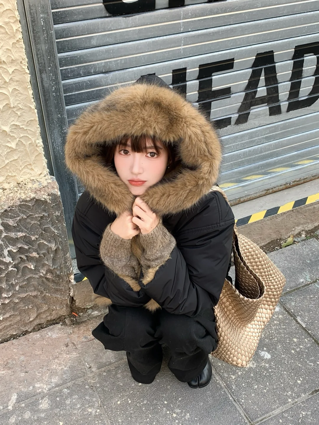 熊出没
