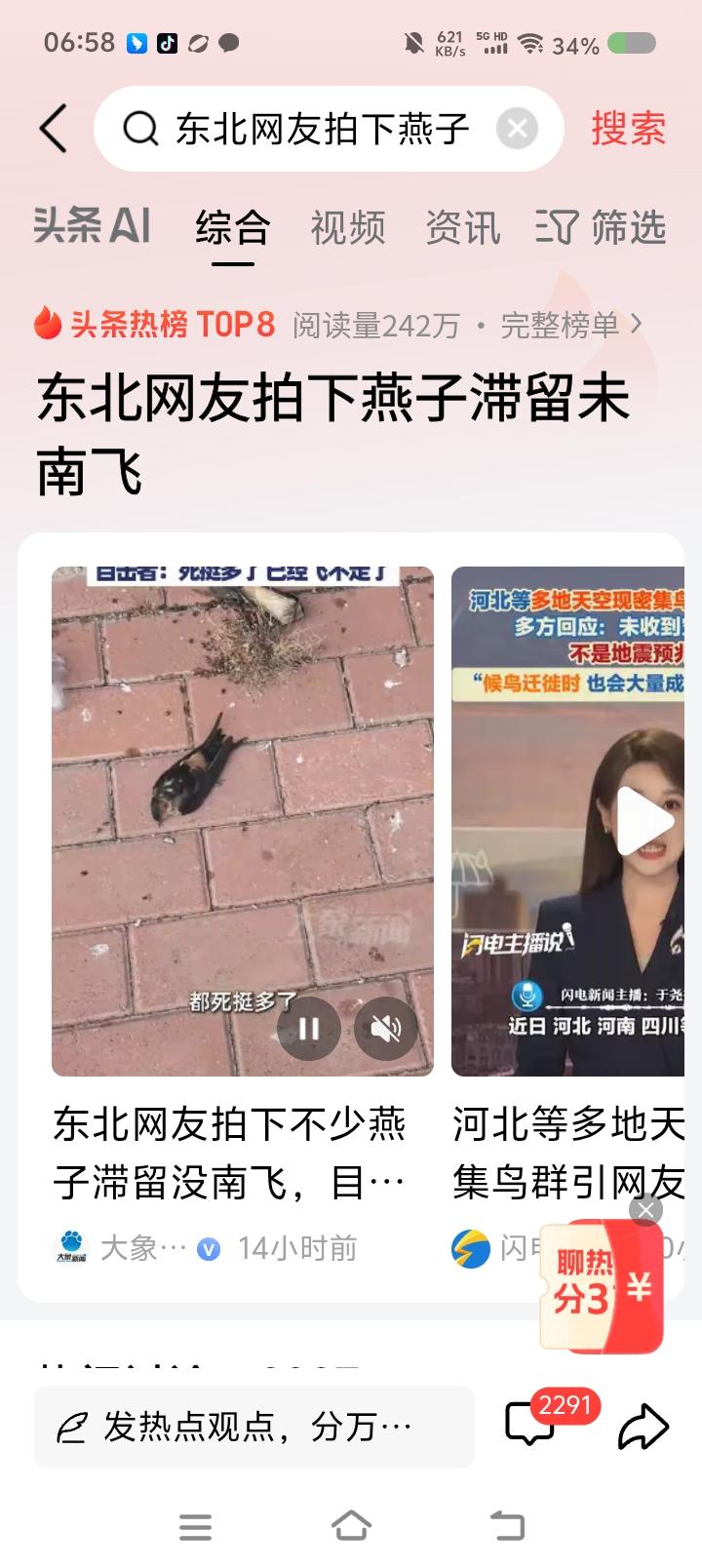 岳云鹏，燕子喊你呢！——
据报道，东北一些燕子，难以南飞，冻死的不少。



