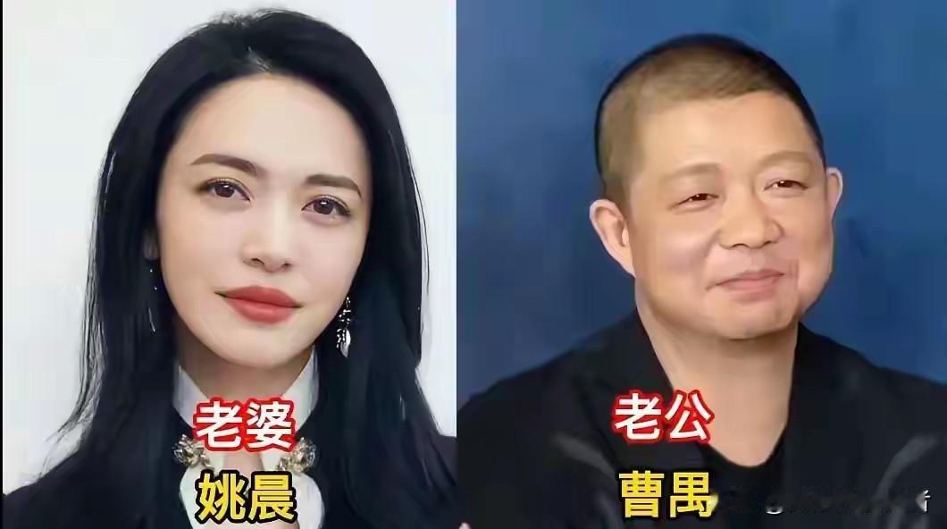 很多人总带着偏见看待二婚的感情，可姚晨、梅婷、张歆艺这几位女星，用生活打破了世俗