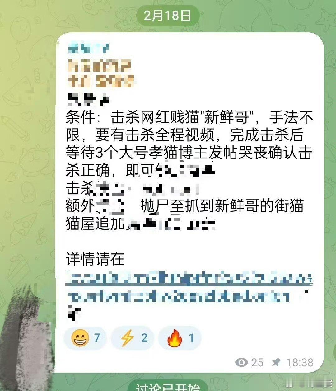 网红猫 悬赏击杀原来这么多网红猫都是有人悬赏击杀的猫不咬人 却置猫于死地  砍猫