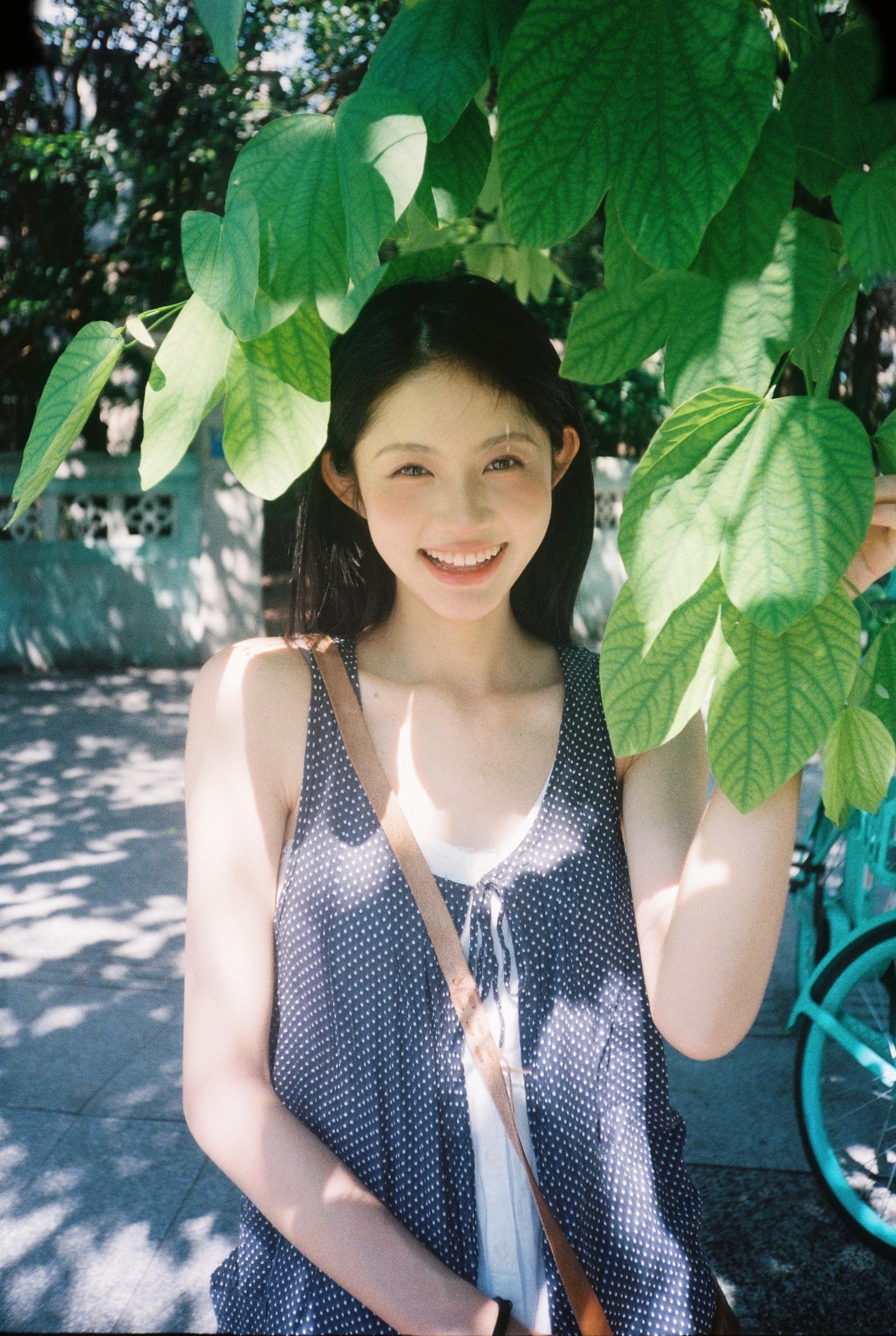 树是风盈过夏天的绿海。