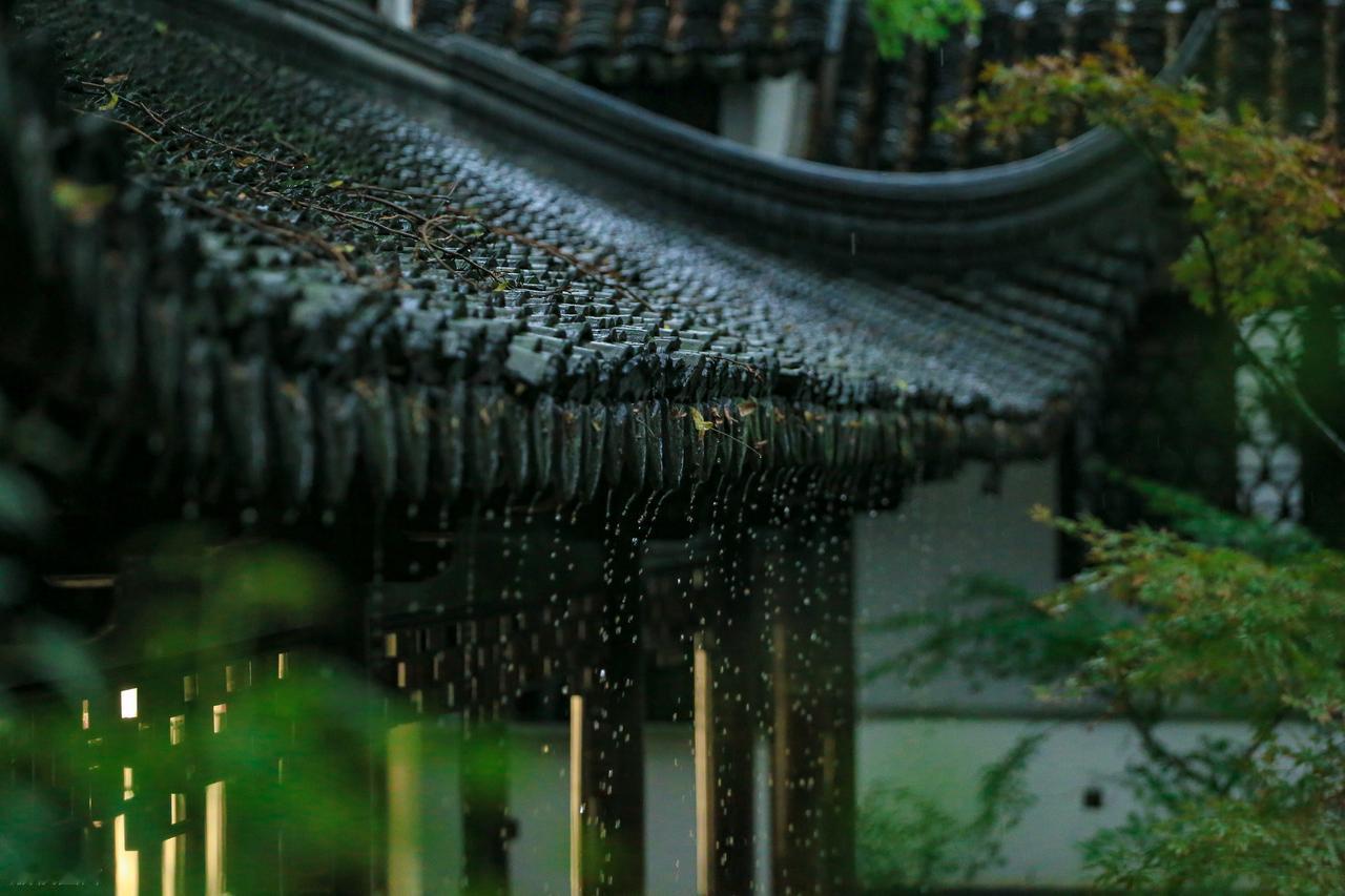 老话说“清明无雨，少黄梅”。意思是如果清明时节没有雨，那接下来的梅雨季节——黄梅