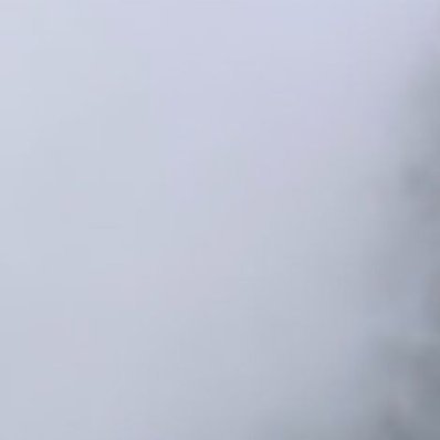 每日一善 善良是一种养分，每日滋养我们的心灵。让我们保持这种善良，让内心充满正能
