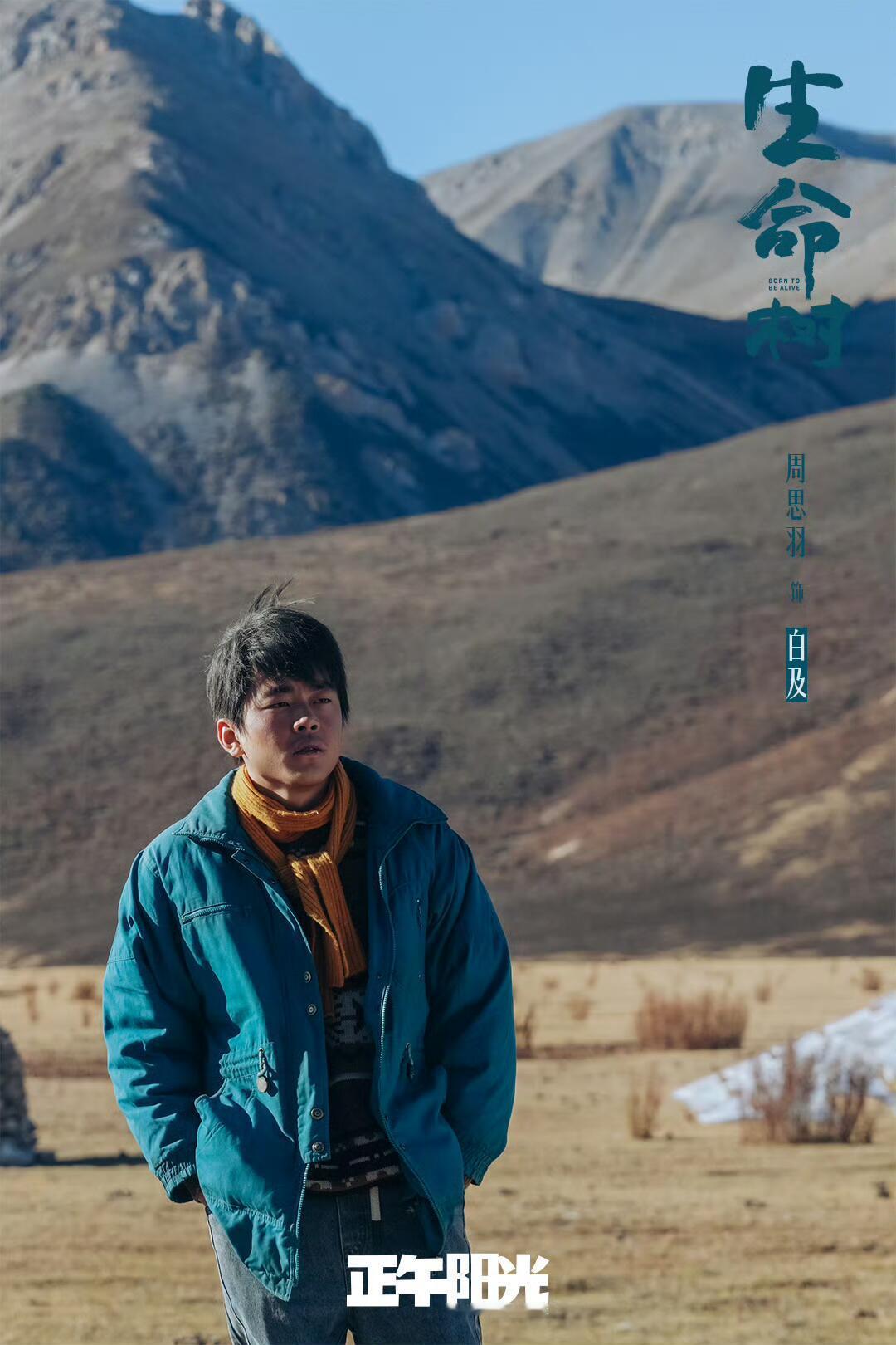 《生命树》：还原最真实的家庭烟火气在《生命树》的世界里，白家宛如现实家庭的缩影，