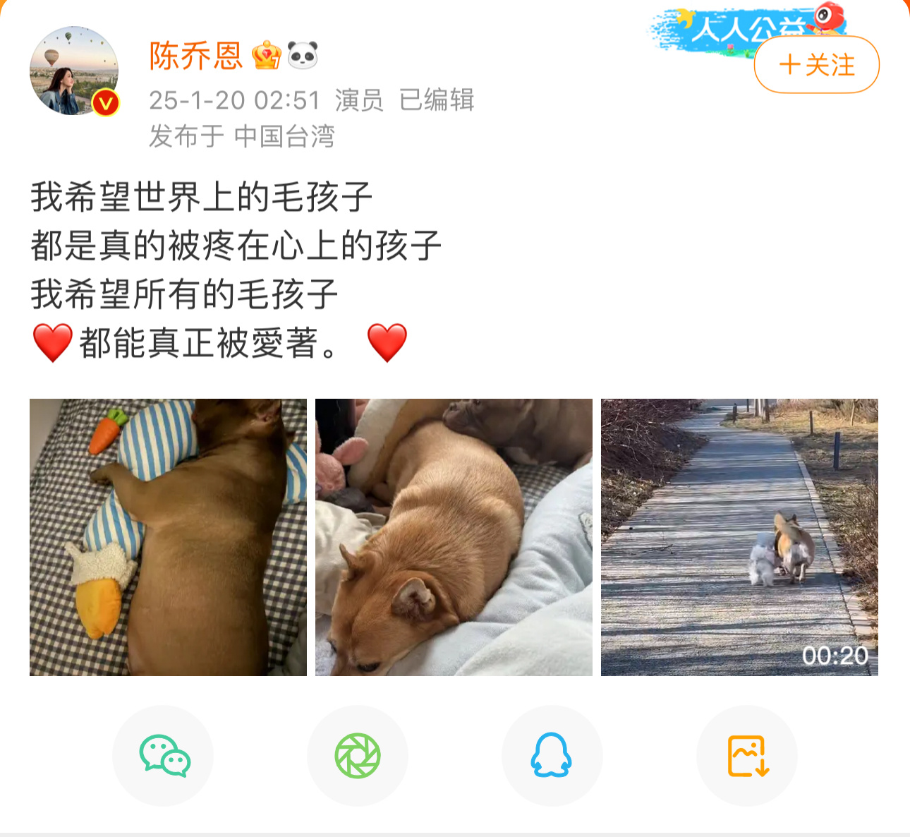 陈乔恩疑似为潘宏事件发声，希望所有宠物都能真正被爱着[围观] 