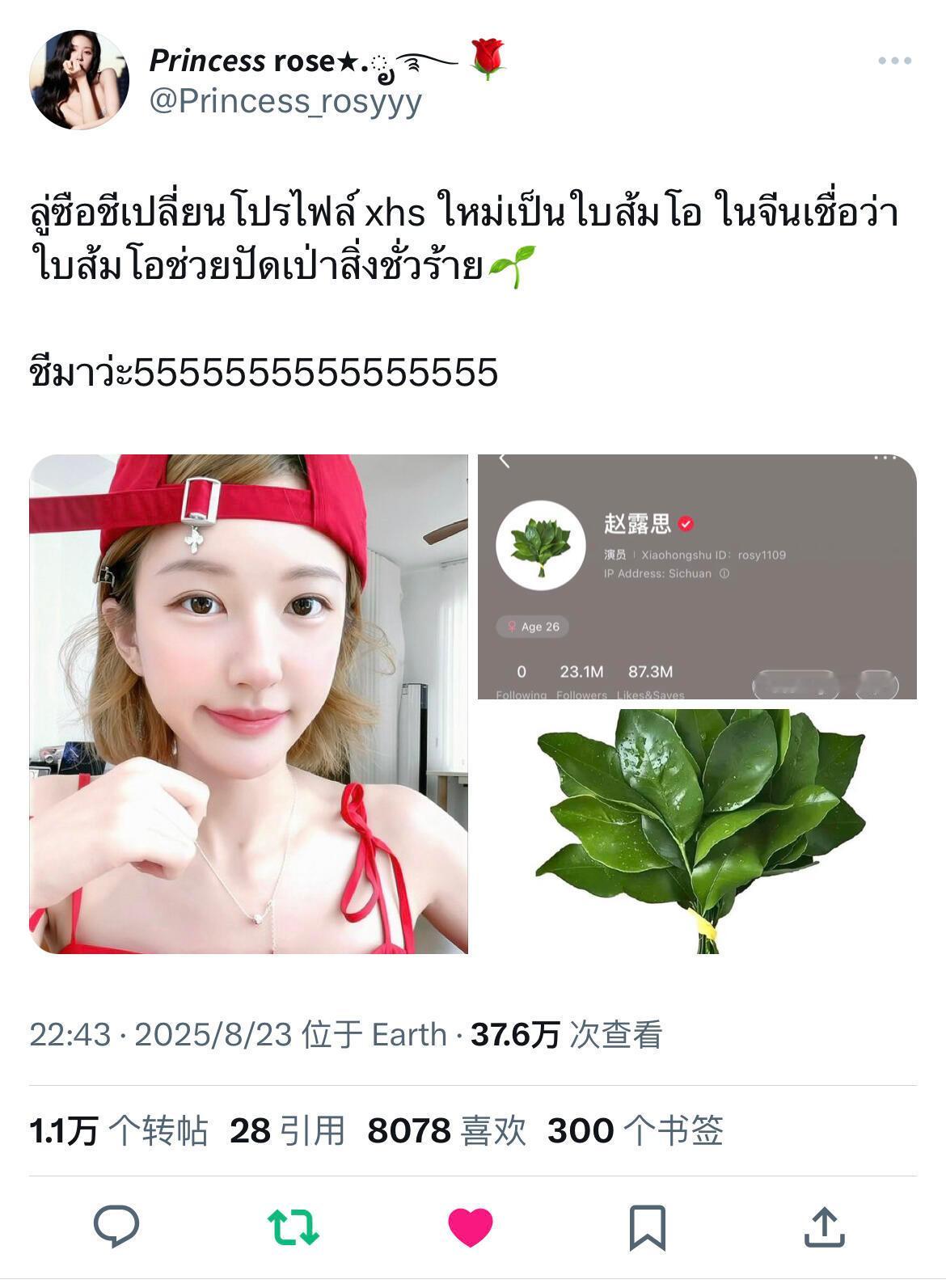 赵露思又又又新增3条万转推🔥海外影响力top ​​​