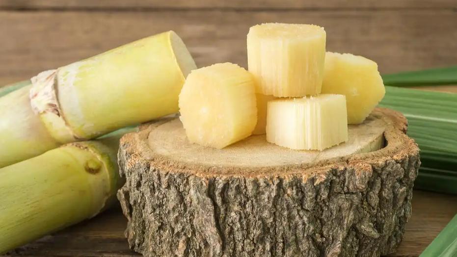 2026年3月，广州市南沙区甘蔗滞销问题严峻，地头价跌至1元/根，与济南零售价1