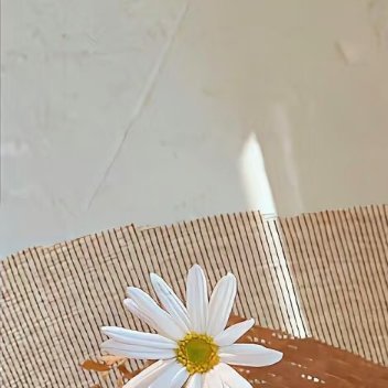 每日一善 红v➕☀️784极好🉑蹭🉑🧱 指路不吞必hui善如春雨，细密无声