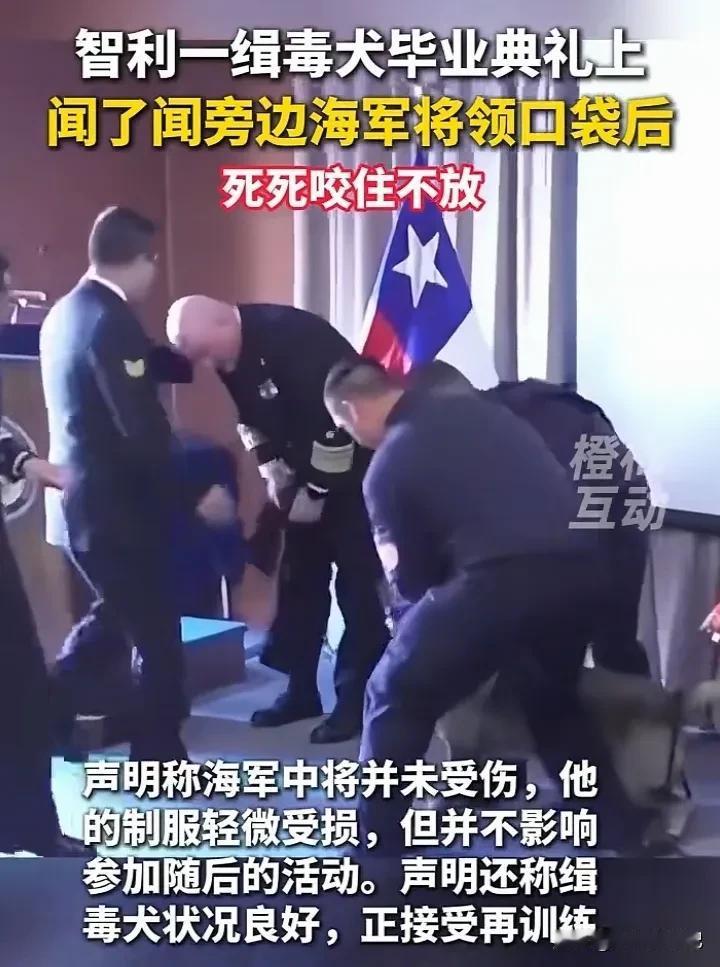 缉毒犬的嗅觉有多灵敏？

缉毒犬的嗅觉灵敏度是人类的3000倍，经过专业训练后能