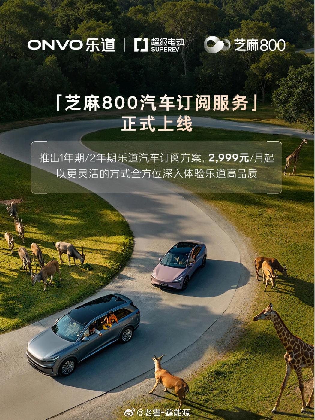 乐道L60/L90出了订阅服务，芝麻信用800分以上就能申请。这次是芝麻信用联合