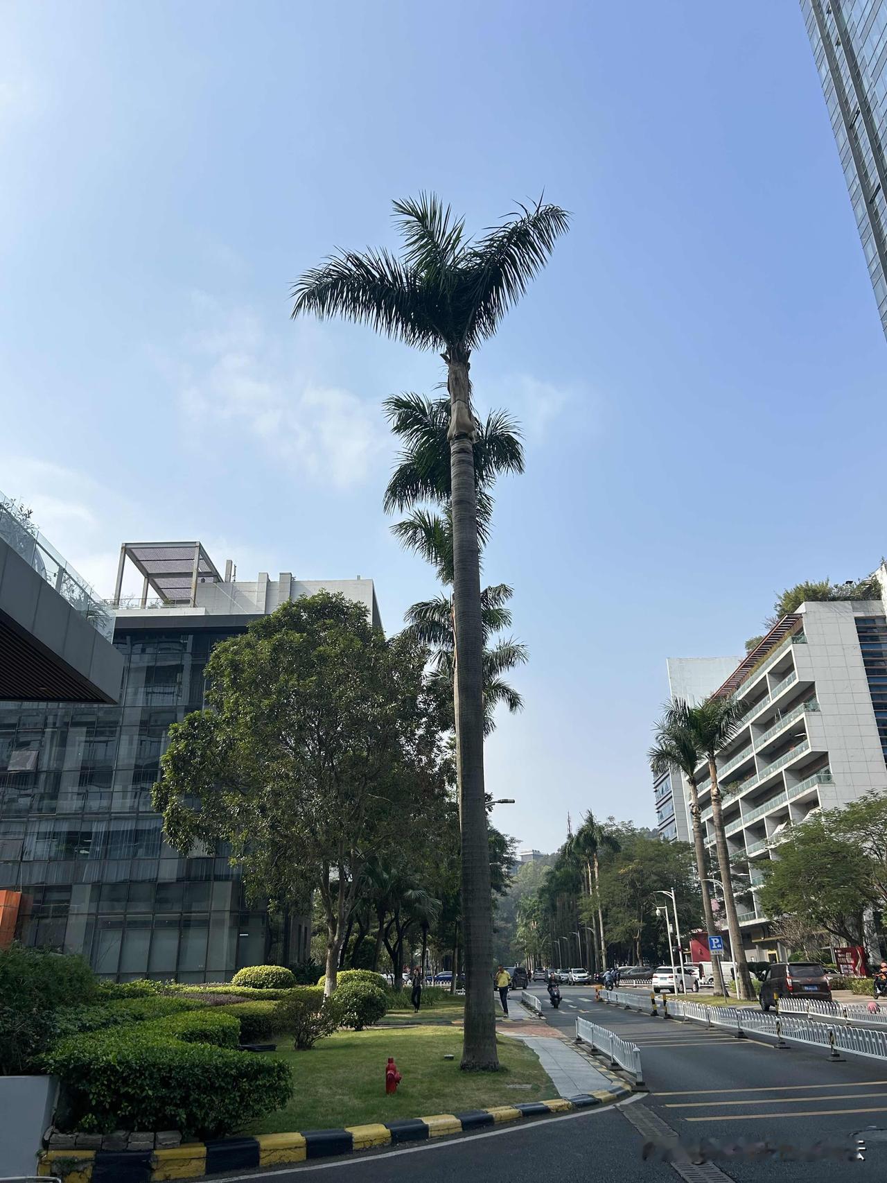 什么是你擅长的，有天分的事情呢？

那就是一件事情你做起来可以无师自通，还可以得