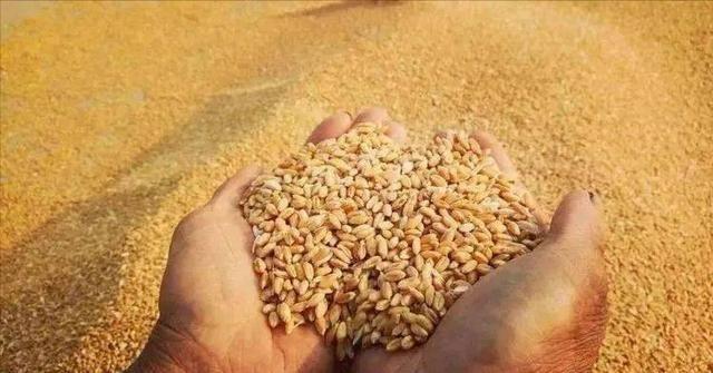 朝鲜人民没想到1万士兵换来好日子，猪肉、啤酒、食用油还有粮食过去不敢想的现在都有