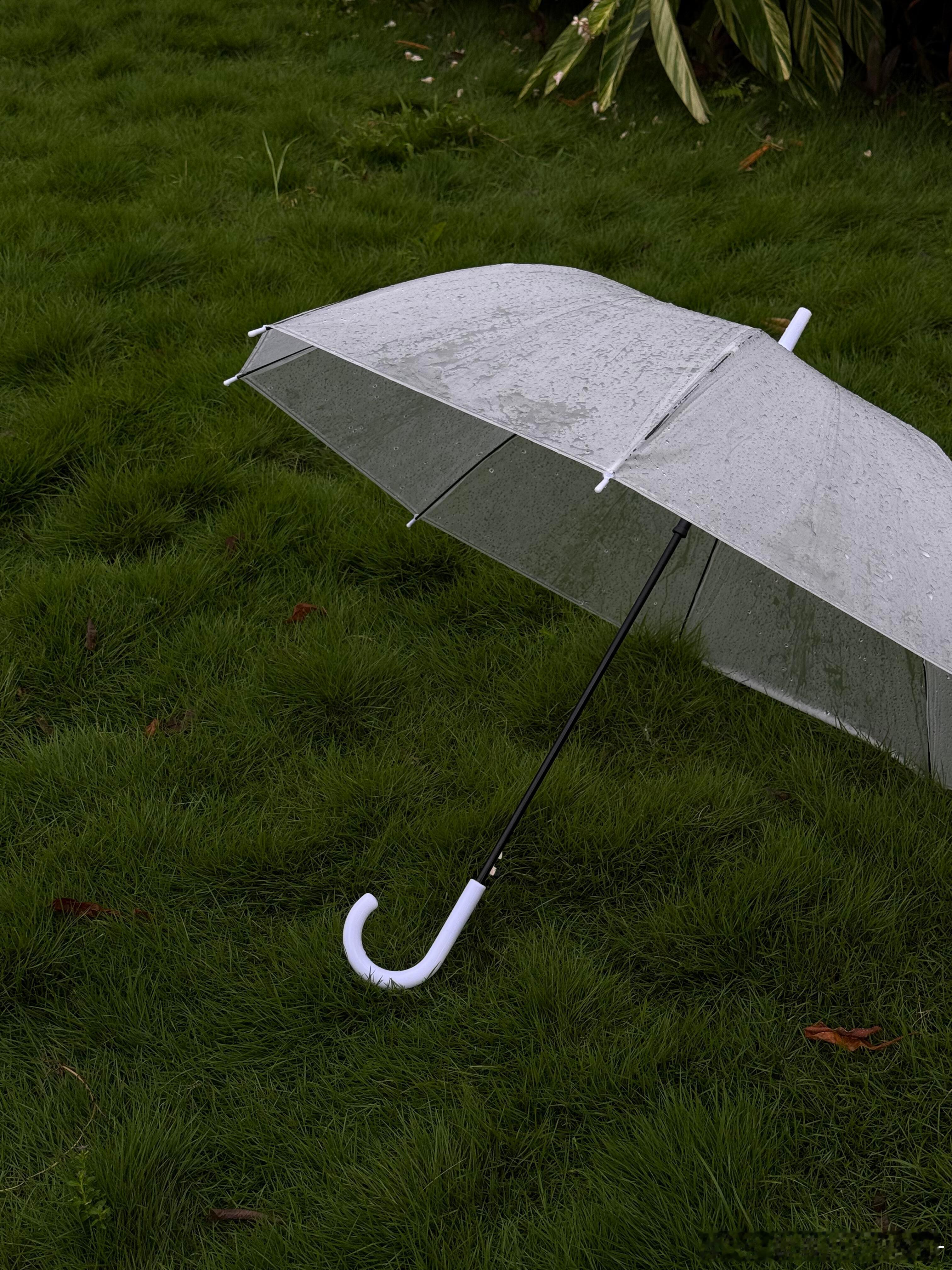 又是一个暴雨的夜晚，窗外大雨哗啦啦地敲打着玻璃窗，风声裹着雨丝在街巷间穿梭，天地