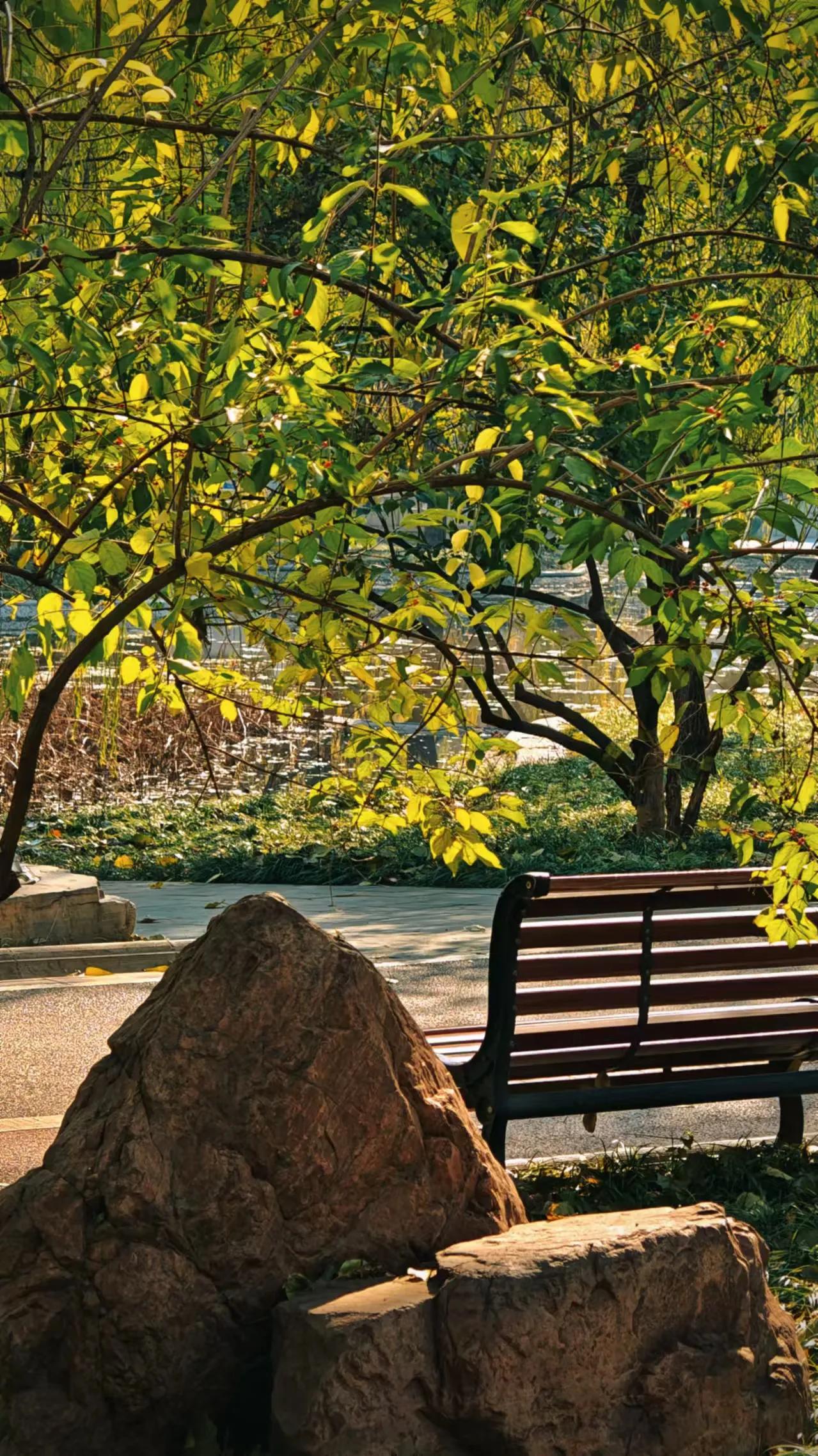 今日打卡石家庄希望绿洲公园，这里竟然有座烽火台，说是为了体现太行风情，这造景风格