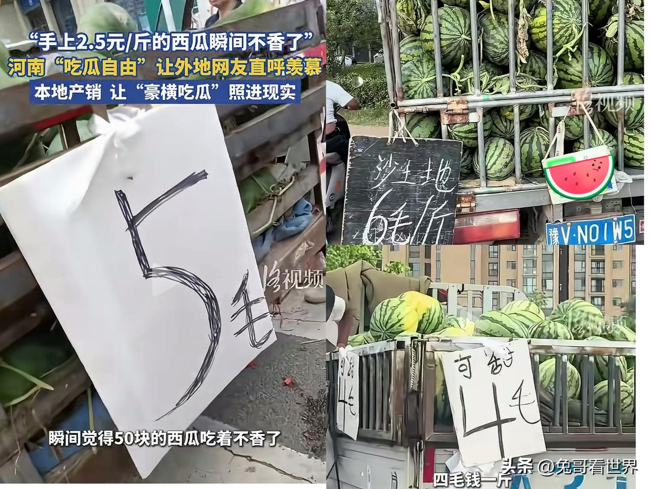 河南西瓜🍉也太便宜了吧
西瓜6毛？5毛？4毛？
不会真有这么低吧？！
海南都要