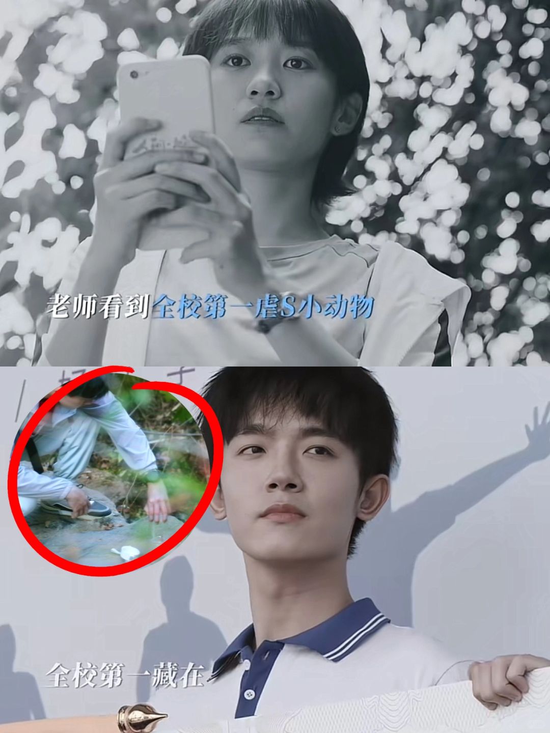 原来 沈耀的视频是桑夏拍的😢