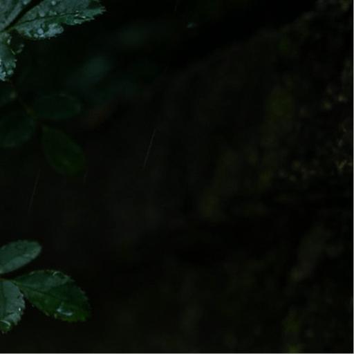 诗路  《行路难·其一》唐·李白金樽清酒斗十千，玉盘珍羞直万钱。停杯投箸不能食，