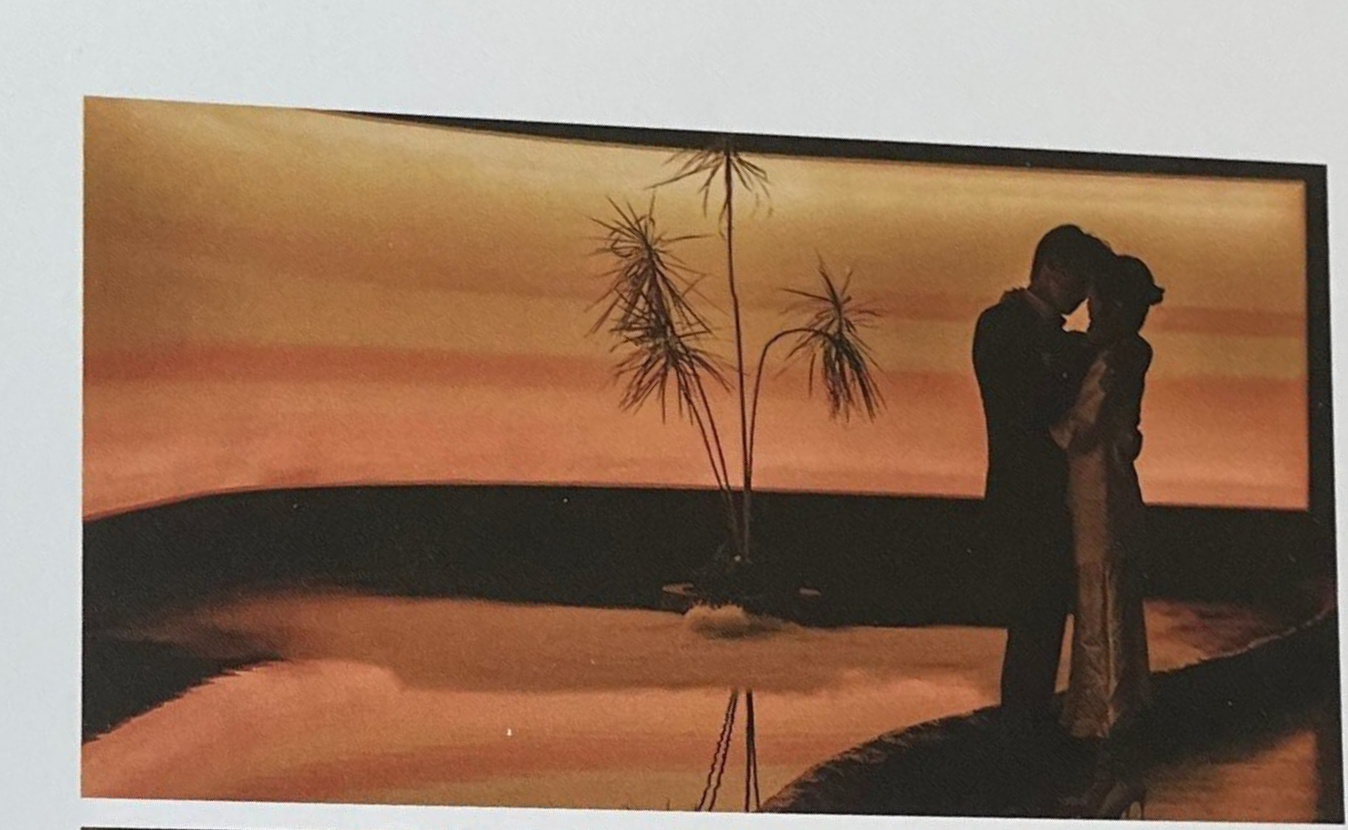 现在拨打的电话  晚霞kiss！再配上晚霞ost吗？？？我要立刻看到这个场面！！